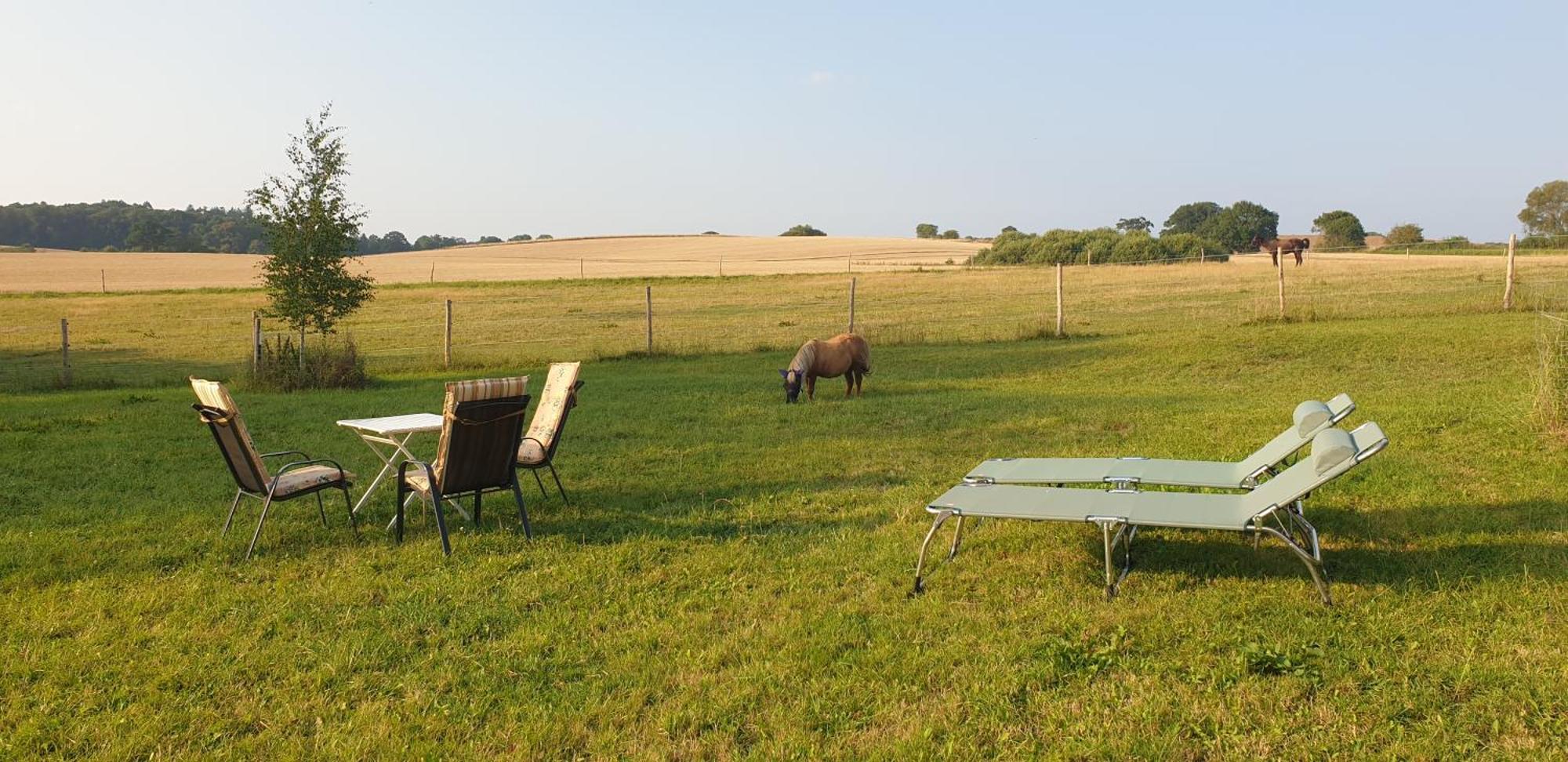 Der Kleine Fuchshof Mit Hund, Pferd Und Huhn Appartement Rathlau Buitenkant foto